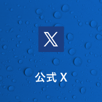公式X